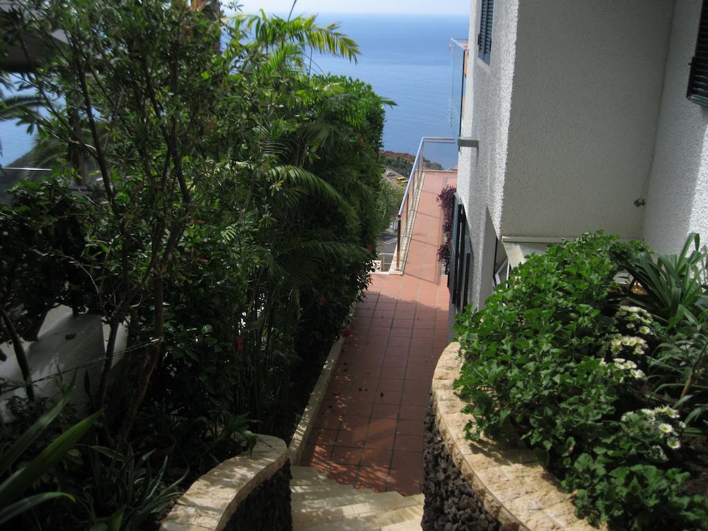 Villa Isabela - Car Rental For Free Caniço Eksteriør bilde